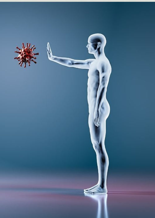Best Supplements for Lymphatic Drainage:Key to Immunity | Learn & Shop