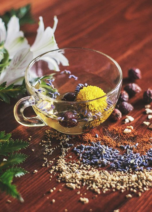 Herbs for Sex: Ayurveda Support