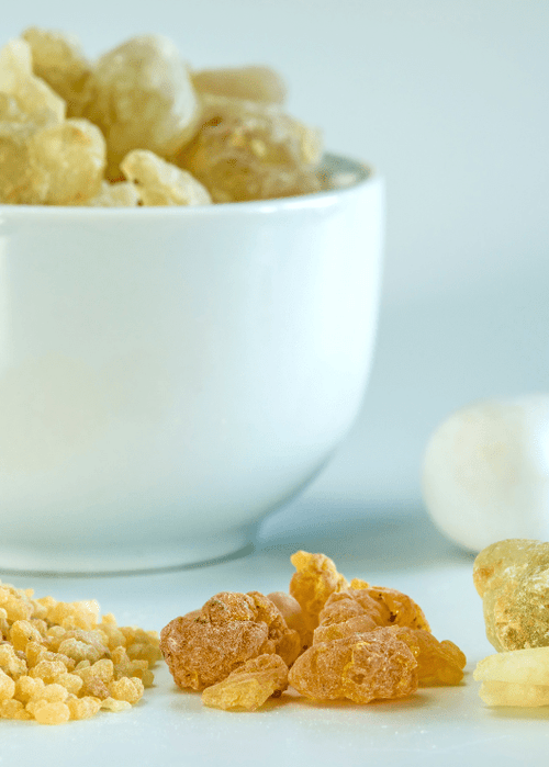 The 10 Health Benefits of Boswellia Capsules