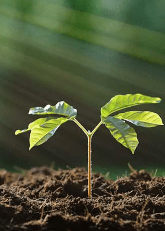 Tribe is committed to Earth Day with 1% for the Planet and EARTHDAY.ORG