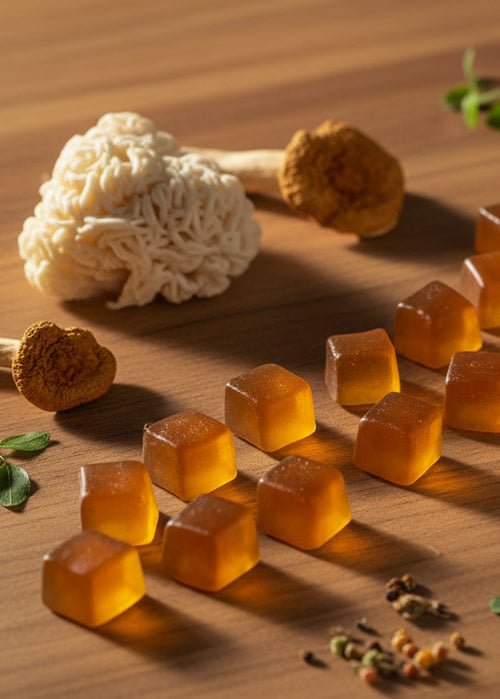 Lion’s Mane Gummies: Benefits, Side Effects & How to Choose (2026 Guide)