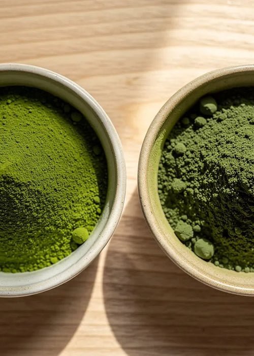 Moringa vs Matcha: The Green Superfood Showdown for Calm Energy & Daily Wellness
