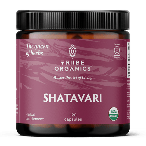 Shatavari Powder: How to Use, Benefits, Dosage & Recipes