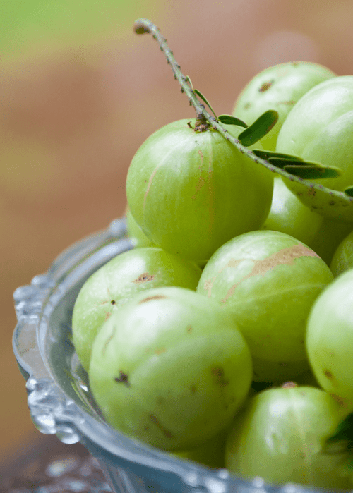 What Is Amla: Health Benefits, Side Effects, and More