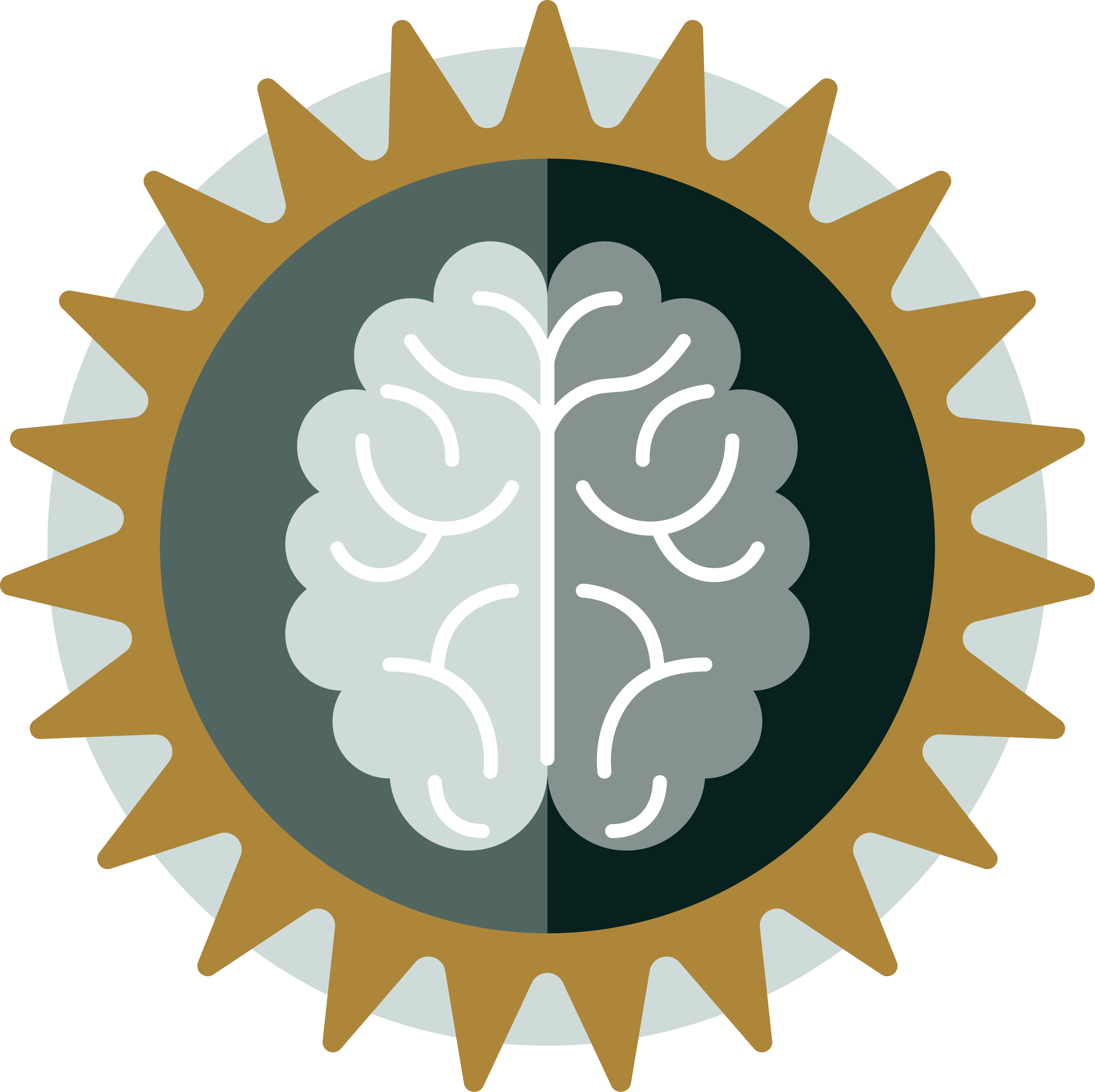 Brain & Energy