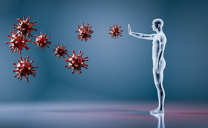 Best Supplements for Lymphatic Drainage:Key to Immunity | Learn & Shop