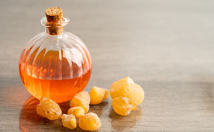 Boswellia for Pets: A Safe Solution for Joint Health