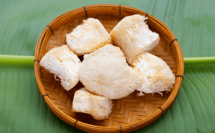 A Guide On How To Take Lion's Mane Powder