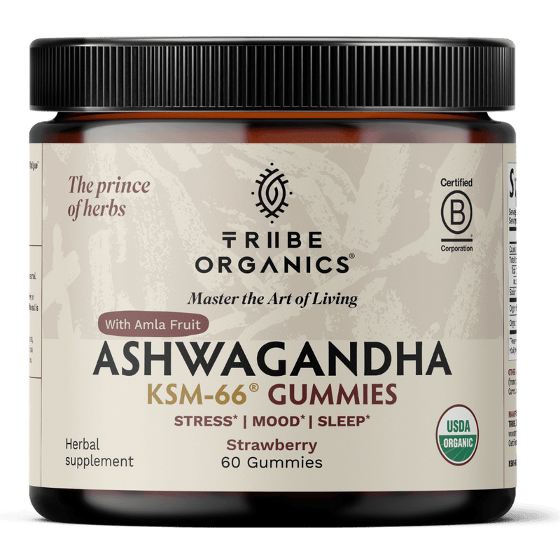 Ashwagandha Gummies | KSM-66 for Stress & Focus* | Tribe Organics - TRIBE ORGANICS