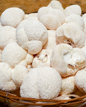 MUSHROOMS