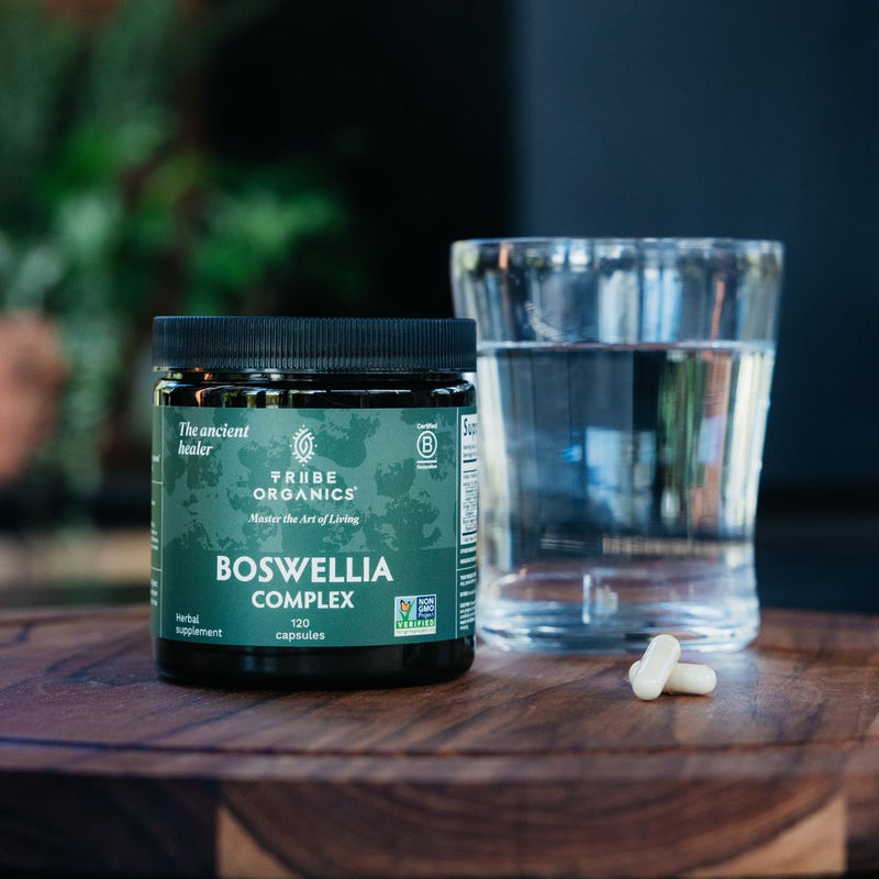 Boswellia Complex | TRIBE ORGANICS