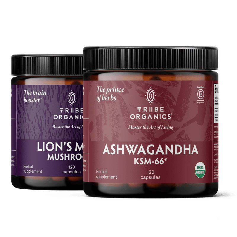 Nootropic Duo - TRIBE ORGANICS