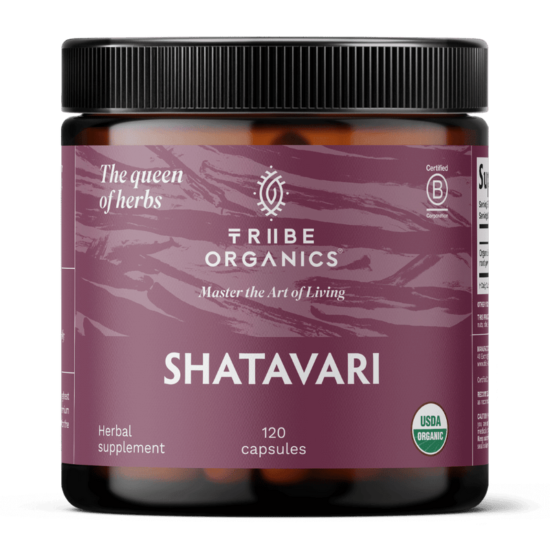 Organic Shatavari Root Powder Supplement - TRIBE ORGANICS