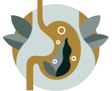 Gut & Digestive Health
