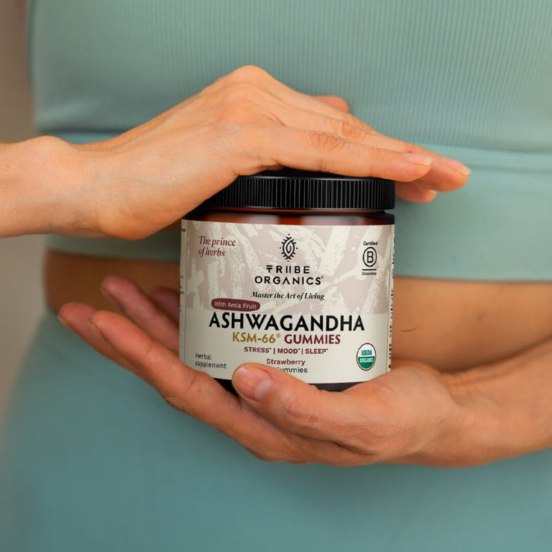 Ashwagandha Gummies | KSM-66 for Stress & Focus* | Tribe Organics - TRIBE ORGANICS
